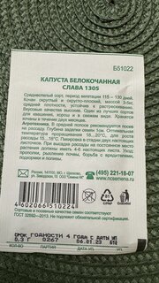 Семена Капуста белокочанная, Слава 1305, 0.3 г, Первая цена, белая упаковка, Русский огород - фото 5 от пользователя