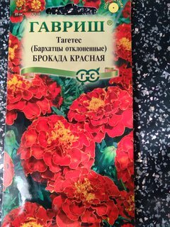 Семена Цветы, Бархатцы, Брокада красная Тагетес, 0.3 г, отклоненные, цветная упаковка, Гавриш - фото 6 от пользователя