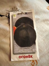 Семена Арбуз, Огонек, 15 шт, цветная упаковка, Поиск - фото 9 от пользователя