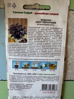 Семена Базилик, Ажур Пурпурный, цветная упаковка, Седек - фото 4 от пользователя