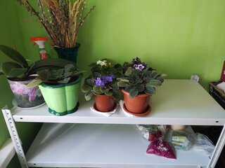 Стеллаж универсальный, металл, 4 секции, 100х40х200 см, разрезной, ПАКС, МС-244Р, 3349024 - фото 4 от пользователя