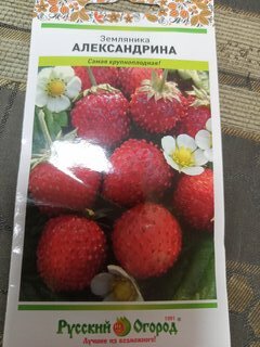 Семена Земляника, Александрина, 0.05 г, цветная упаковка, Русский огород - фото 8 от пользователя