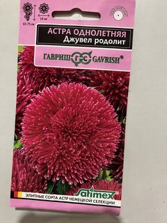 Семена Цветы, Астра, Джувел Родолит, 0.1 г, Эксклюзив, цветная упаковка, Гавриш - фото 7 от пользователя