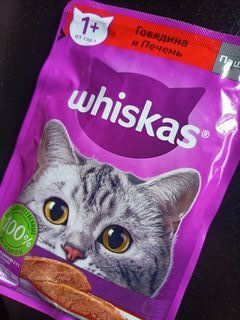 Корм для животных Whiskas, 75 г, для взрослых кошек 1+, паштет, говядина/печень, пауч, G8474 - фото 3 от пользователя