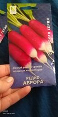 Семена Редис, Аврора, 3 г, Сибирская, цветная упаковка, Поиск - фото 1 от пользователя