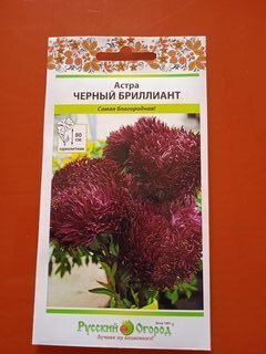 Семена Цветы, Астра, Черный Бриллиант, 50 шт, цветная упаковка, Русский огород - фото 1 от пользователя