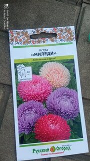Семена Цветы, Астра, Миледи, 0.2 г, цветная упаковка, Русский огород - фото 2 от пользователя