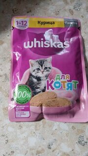 Корм для животных Whiskas, 75 г, для котят, 1-12 месяцев, паштет, курица, пауч, G8472 - фото 1 от пользователя