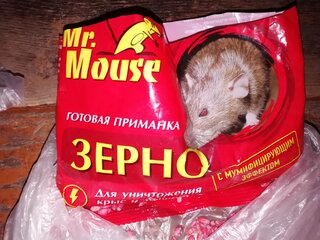 Родентицид Mr.Mouse, от крыс и грызунов, зерно, 200 г - фото 3 от пользователя