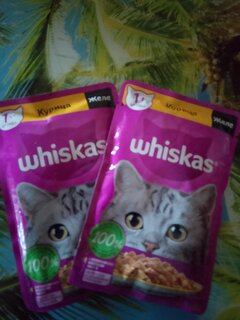 Корм для животных Whiskas, 75 г, для взрослых кошек 1+, кусочки в желе, курица, пауч, G8459 - фото 1 от пользователя