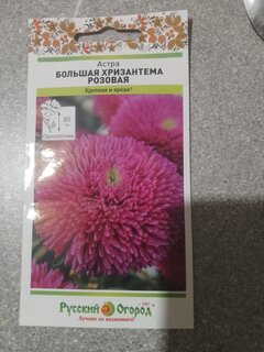 Семена Цветы, Астра, Большая хризантема, цветная упаковка, Русский огород - фото 2 от пользователя