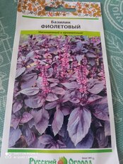 Семена Базилик, Фиолетовый, 0.3 г, цветная упаковка, Русский огород - фото 4 от пользователя