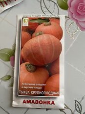 Семена Тыква крупноплодная, Амазонка, 10 шт, цветная упаковка, Поиск - фото 9 от пользователя