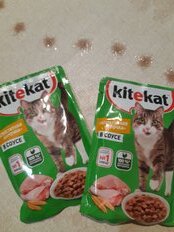 Корм для животных Kitekat, 85 г, для кошек, курица в соусе, пауч - фото 9 от пользователя