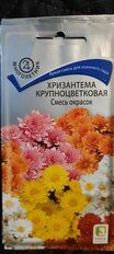 Семена Цветы, Хризантема, крупноцветковая, 0.05 г, смесь окрасок, цветная упаковка, Поиск - фото 7 от пользователя