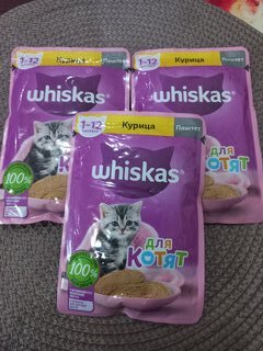 Корм для животных Whiskas, 75 г, для котят, 1-12 месяцев, паштет, курица, пауч, G8472 - фото 6 от пользователя