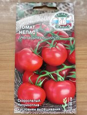 Семена Томат, Непас Непасынкующийся, 0.1 г, цветная упаковка, Седек - фото 9 от пользователя