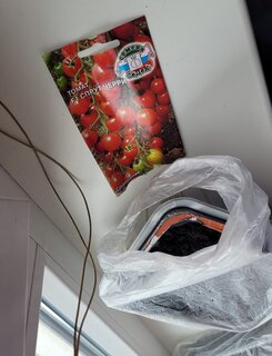 Семена Томат, Спрут черри F1, 0.03 г, цветная упаковка, Седек - фото 9 от пользователя