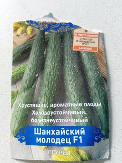 Семена Огурец, Шанхайский молодец F1, цветная упаковка, Поиск - фото 9 от пользователя