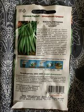 Семена Фасоль спаржевая, Аллюр, цветная упаковка, Седек - фото 9 от пользователя