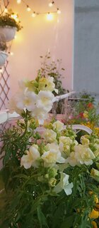 Краска воднодисперсионная, Русские узоры, акриловая, для потолков, матовая, белоснежная, 3 кг - фото 7 от пользователя