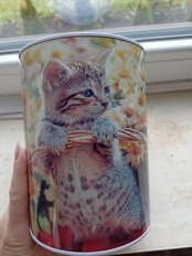 Копилка Милые зверушки, 12х16 см, Y4-4293, в ассортименте - фото 9 от пользователя