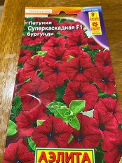 Семена Цветы, Петуния, Суперкаскадная бургунди F1, цветная упаковка, Аэлита - фото 6 от пользователя