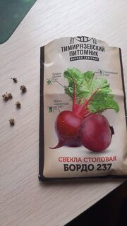Семена Свекла, Бордо 237, 6 г, среднеранние, цветная упаковка, Тимирязевский питомник - фото 7 от пользователя