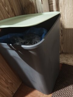 Бак пластик, 43 л, с крышкой, 34х34х51.5 см, квадратный, универсальный, оливковый, Verde, Norton, 38440 - фото 4 от пользователя