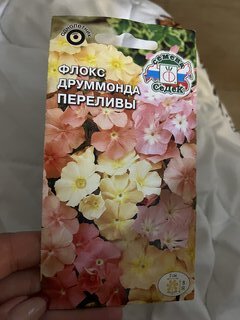 Семена Цветы, Флокс, Друммонда Переливы, 0.2 г, низкорослый, цветная упаковка, Седек - фото 3 от пользователя