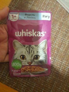 Корм для животных Whiskas, 75 г, для взрослых кошек 1+, рагу, форель/лосось, пауч, G8476 - фото 1 от пользователя