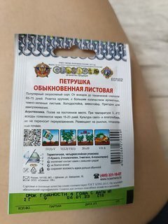 Семена Петрушка листовая, Обыкновенная, 2 г, Кольчуга, цветная упаковка, Русский огород - фото 3 от пользователя