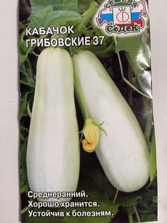 Семена Кабачок, Грибовские 37, цветная упаковка, Седек - фото 2 от пользователя