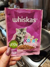 Корм для животных Whiskas, 75 г, для котят, 1-12 месяцев, кусочки в желе, телятина, пауч, G8462 - фото 1 от пользователя