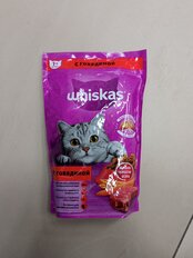 Корм для животных Whiskas, 350 г, для взрослых кошек 1+, сухой, говядина, подушечки с паштетом, пакет, G3650 - фото 9 от пользователя