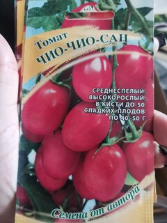 Семена Томат, Чио-чио-сан, 0.05 г, цветная упаковка, Гавриш - фото 3 от пользователя