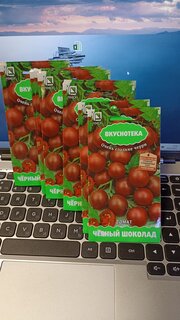 Семена Томат, Черный шоколад, цветная упаковка, Поиск - фото 4 от пользователя