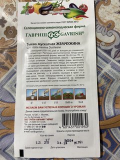 Семена Тыква, Жемчужина мускатная, 1 г, цветная упаковка, Гавриш - фото 4 от пользователя