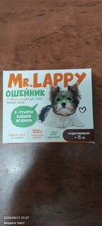 Ошейник от блох и клещей для собак мелких пород, Mr.Lappy, 35 см, коричневый, Q5155 - фото 1 от пользователя