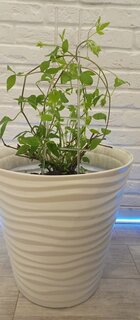 Горшок для цветов пластик, 50 л, 46х45 см, белый, Idea, Дюна, М 3403 - фото 7 от пользователя