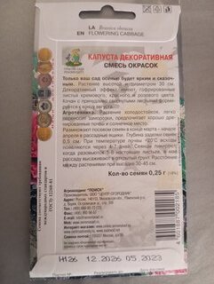 Семена Цветы, Капуста декоративная, Смесь окрасок, 0.25 г, цветная упаковка, Поиск - фото 3 от пользователя