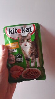 Корм для животных Kitekat, 85 г, для кошек, курица в соусе, пауч - фото 2 от пользователя