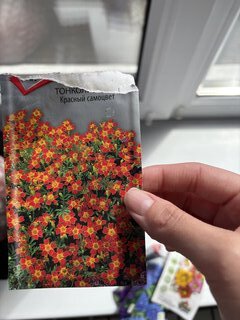 Семена Цветы, Бархатцы, Золотой призер, 0.1 г, цветная упаковка, Русский огород - фото 2 от пользователя