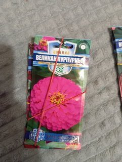 Семена Цветы, Цинния, Великан, 0.3 г, Русский богатырь, пурпурные, цветная упаковка, Гавриш - фото 4 от пользователя