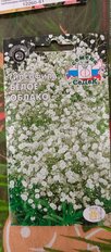 Семена Цветы, Гипсофила, Белое облако, 0.1 г, цветная упаковка, Седек - фото 5 от пользователя