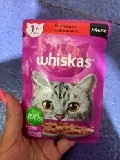 Корм для животных Whiskas, 75 г, для взрослых кошек 1+, желе, говядина/ягнятина, пауч, G8457 - фото 1 от пользователя