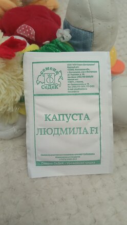 Семена Капуста краснокочанная, Людмила F1, 0.1 г, белая упаковка, Седек - фото 6 от пользователя