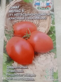 Семена Томат, Непас 6, непасынкующийся красный с носиком, цветная упаковка, Седек - фото 3 от пользователя