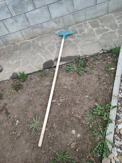 Черенок диаметр 30 мм, дерево, 150 см, высший сорт, P - фото 2 от пользователя