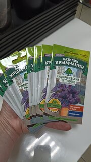 Семена Базилик, Крымчанин, 0.3 г, Домашняя грядка, цветная упаковка, Тимирязевский питомник - фото 3 от пользователя